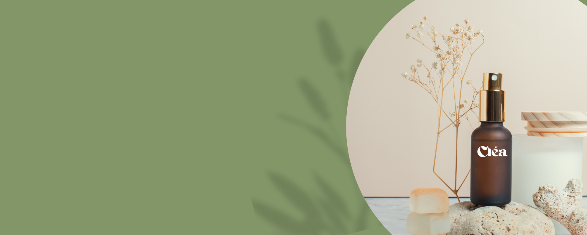 CLÉA Beauty Medical-Grade PDRN Skincare Serum & Cream Collection